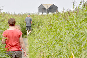 Der Vogelbeobachtungsturm „Kiekkaaste“ steht im Südwestabschnitt des Dollarts auf niederländischer Seite. Bild: Ortgies