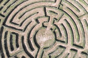Das Heckenlabyrinth im Westerhammrich hat einen Durchmesser von rund 80 Metern. Bilder: Ortgies