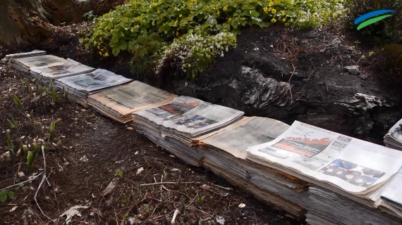 Videos Ostfriesen Zeitung